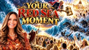 Thumbnail for the word titled Your Red Sea Moment